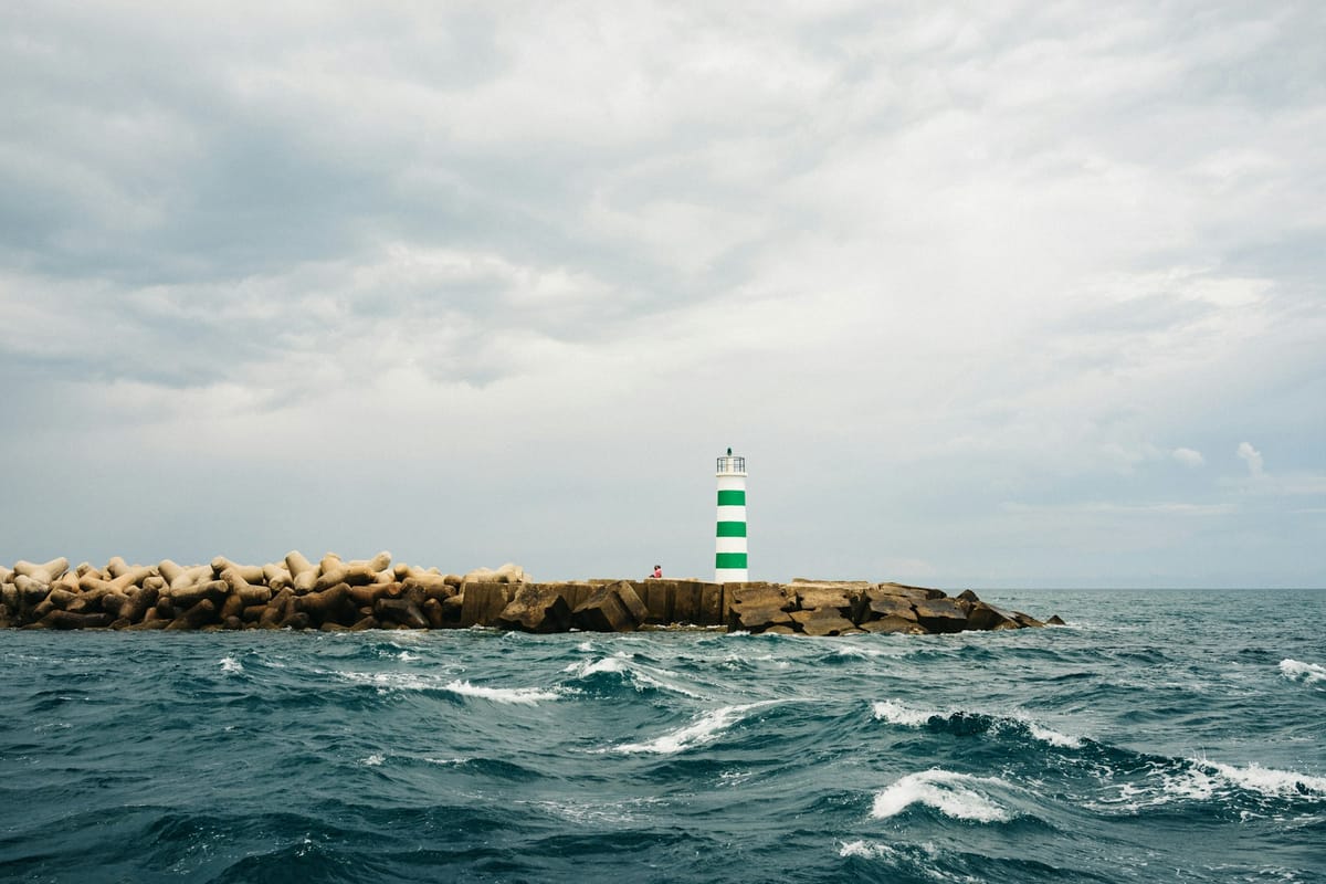 Leadership by Self Differentiation