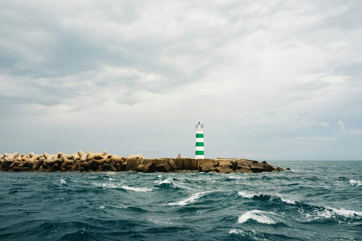 Leadership by Self Differentiation